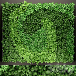 Vertical garden 14. vertical garden green wall phytomodule eco design picture of flowers plants on the wall Fitowall 3D Models 