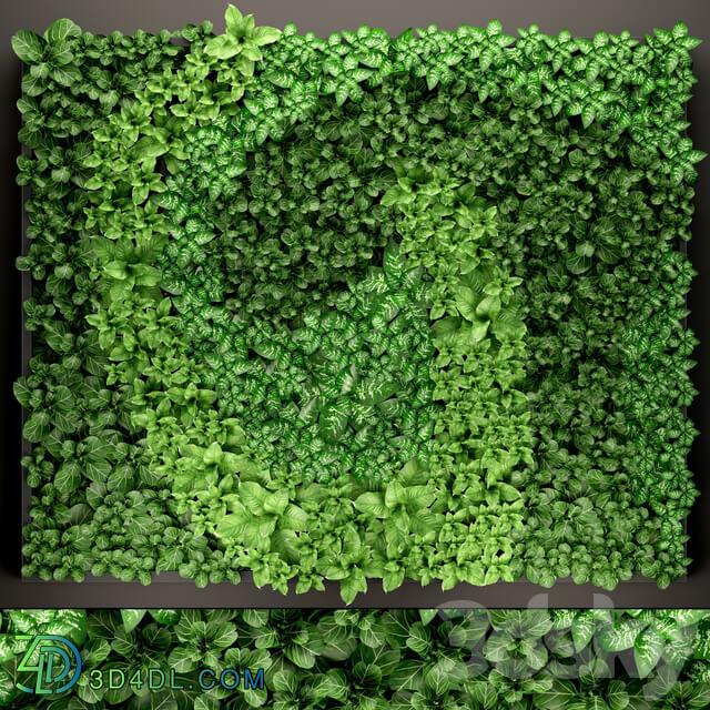 Vertical garden 14. vertical garden green wall phytomodule eco design picture of flowers plants on the wall Fitowall 3D Models