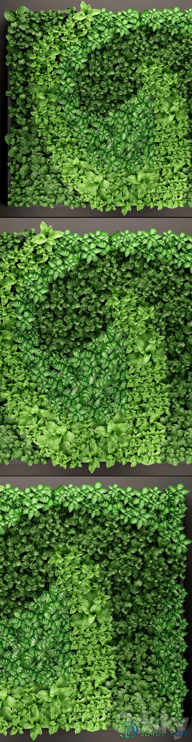 Vertical garden 14. vertical garden green wall phytomodule eco design picture of flowers plants on the wall Fitowall 3D Models