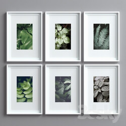 Picture Frames Set 8 
