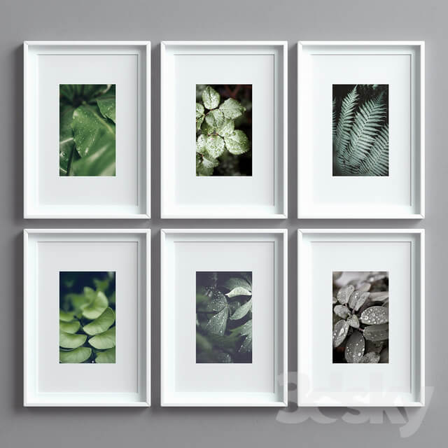 Picture Frames Set 8