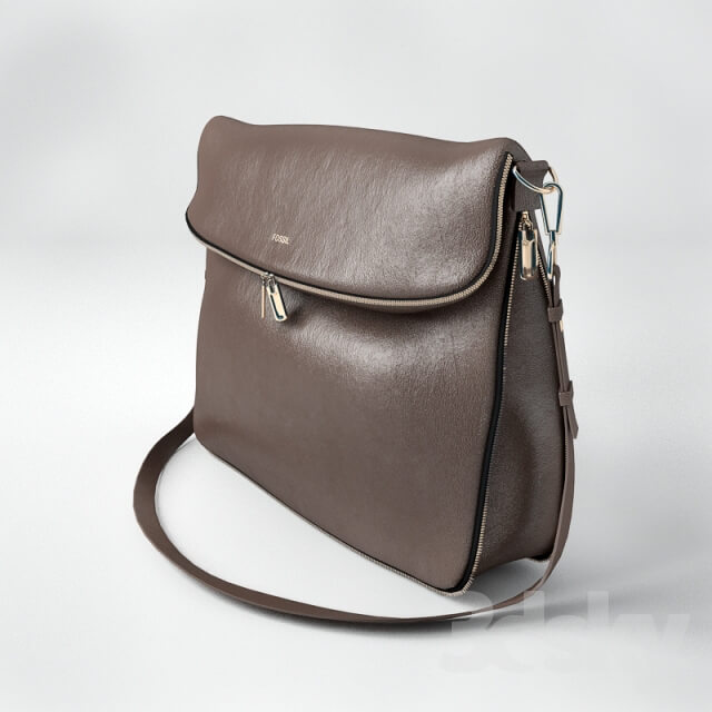 Other decorative objects Bag Fossil Preston Brown