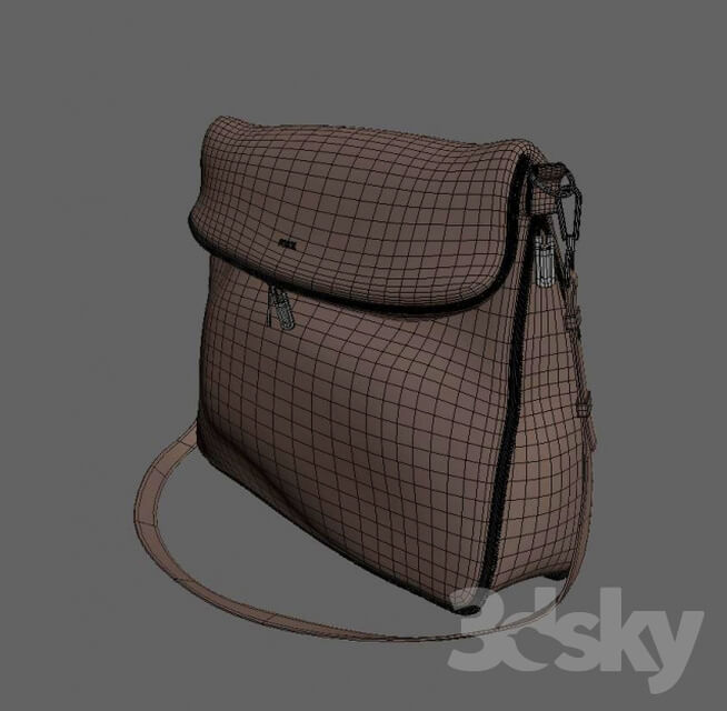 Other decorative objects Bag Fossil Preston Brown