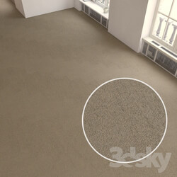 Miscellaneous Carpet covering 196 