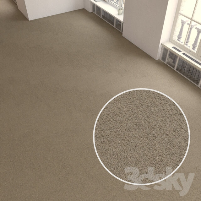 Miscellaneous Carpet covering 196