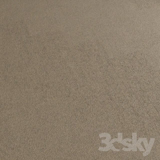 Miscellaneous Carpet covering 196