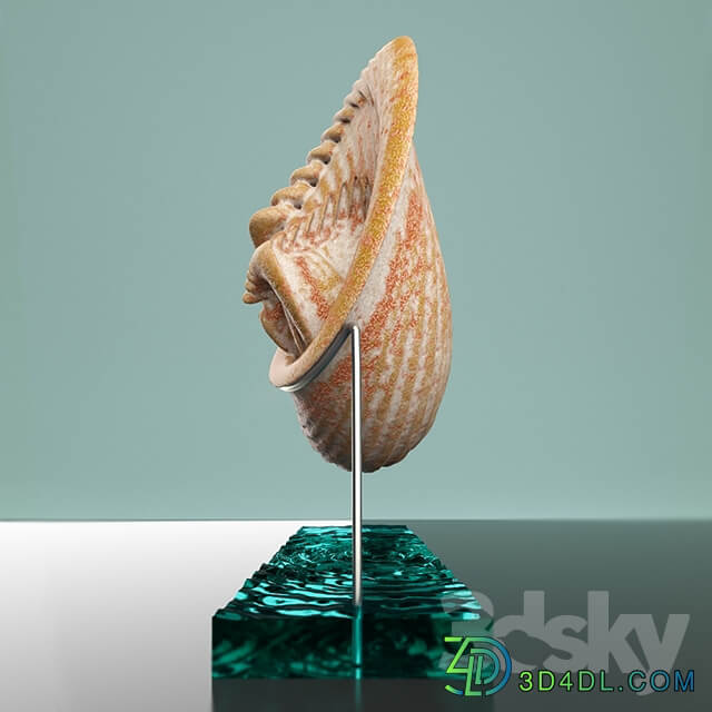 Other decorative objects Martian Seashell 