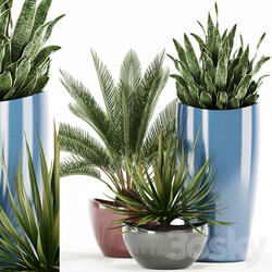 Plants collection 99 Awesomeplanters 3D Models 