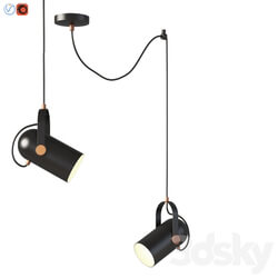 Fixture Favorite 2007 1P Ampolla Pendant light 3D Models 