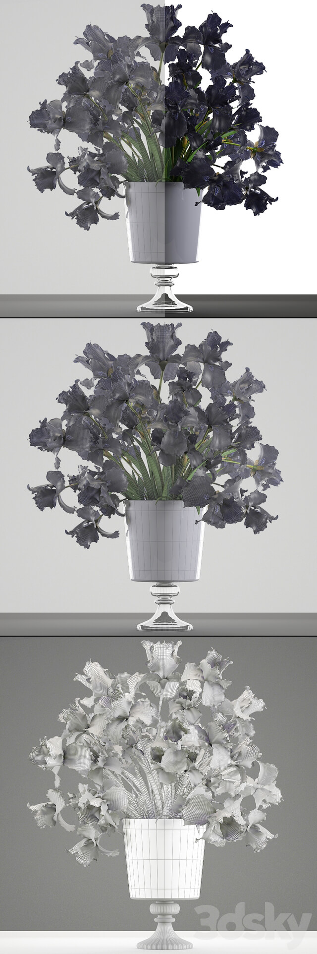 Collection of flowers 46. Black Irises. Black Irises vase table decor luxury 3D Models
