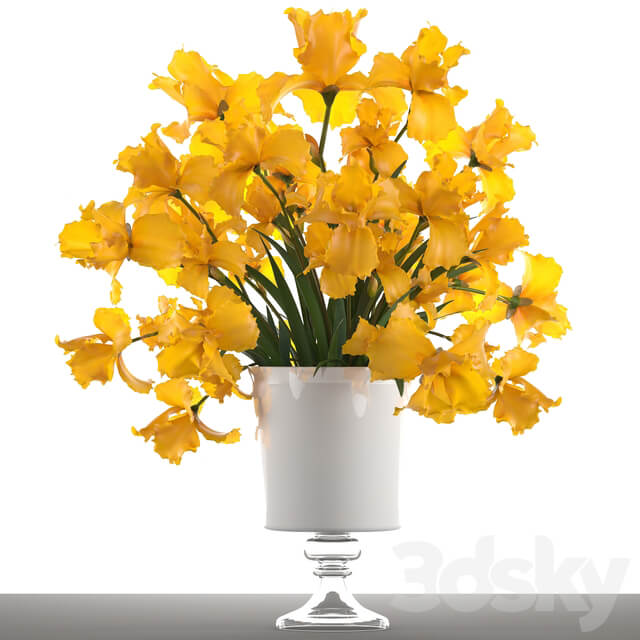 Bouquet of yellow flowers 47. Yellow Irises vase decor flower 3D Models