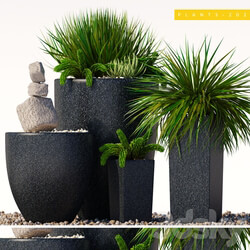 plants 202 3D Models 