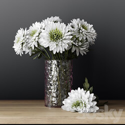 Chrysanthemums 3D Models 