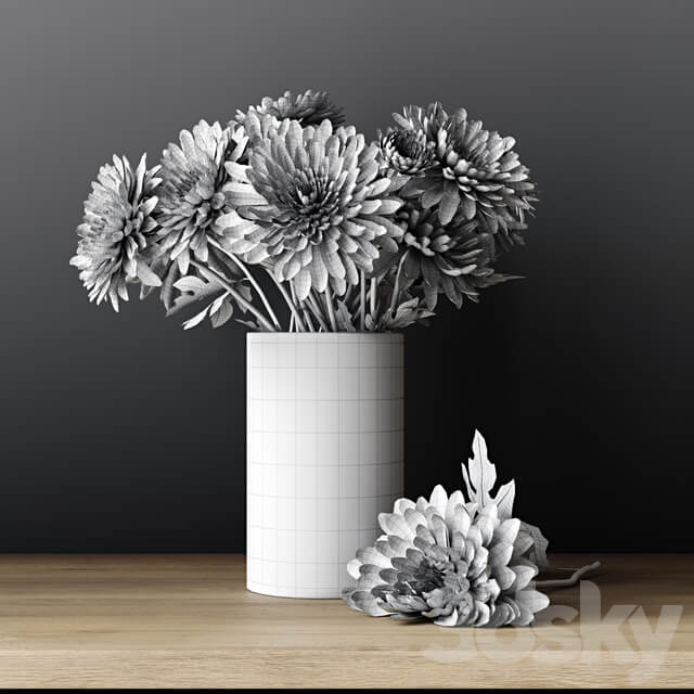 Chrysanthemums 3D Models