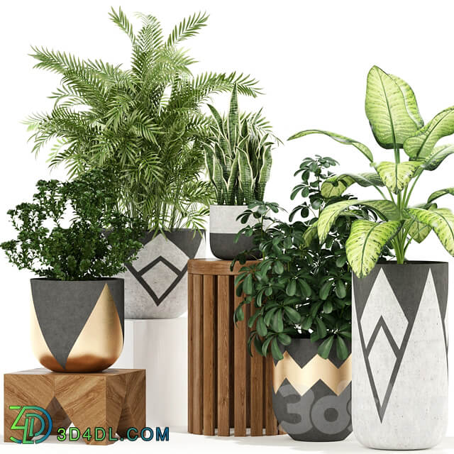 Plants collection 109 3D Models