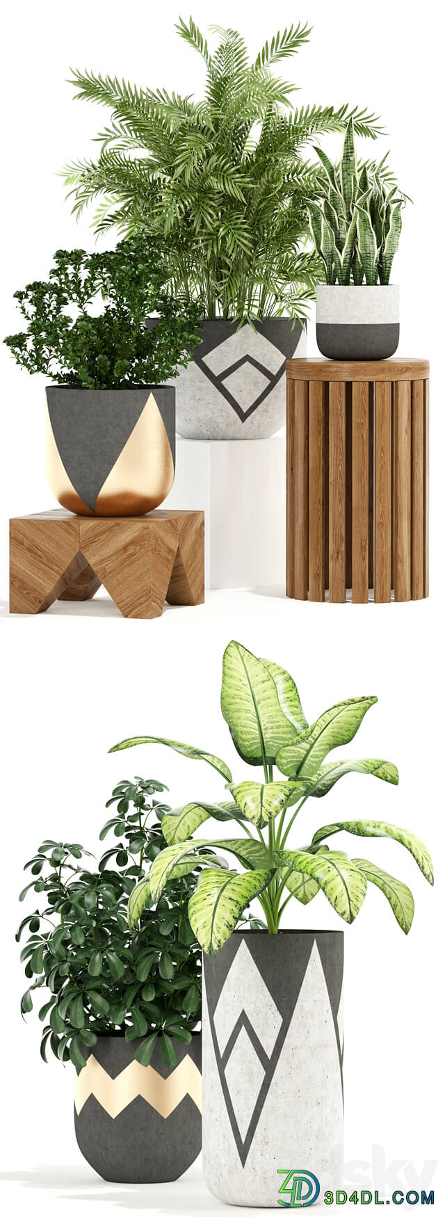Plants collection 109 3D Models
