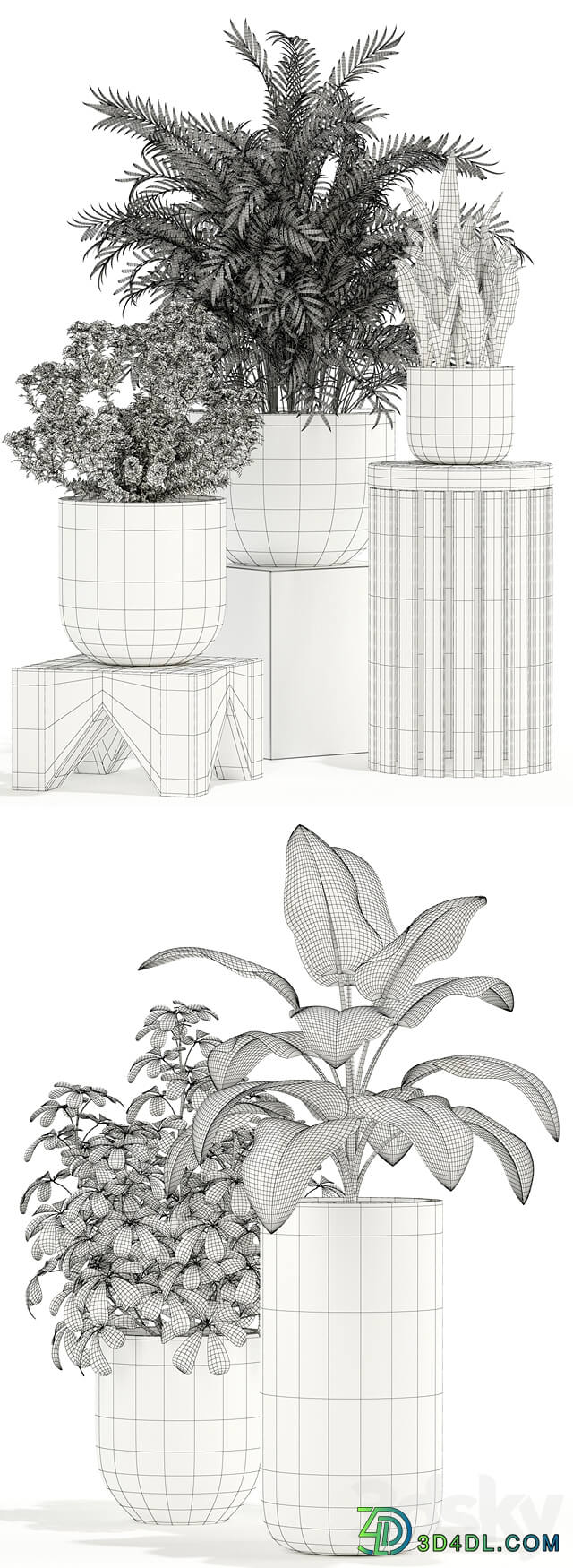 Plants collection 109 3D Models