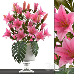 Bouquet of pink flowers 49. Bouquet of Lilies decor vase lily flower 3D Models 