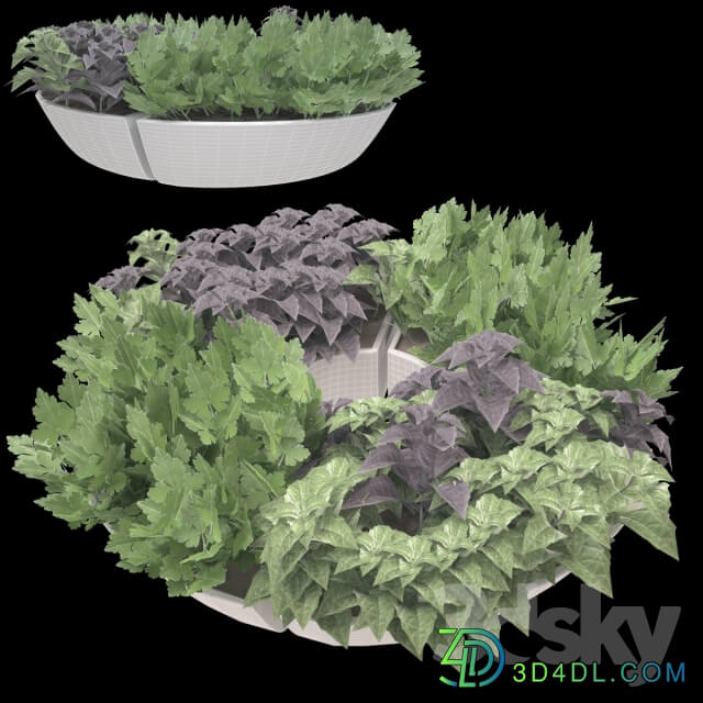 Decor with herbs