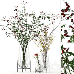 Twigs in Echasse Vases 