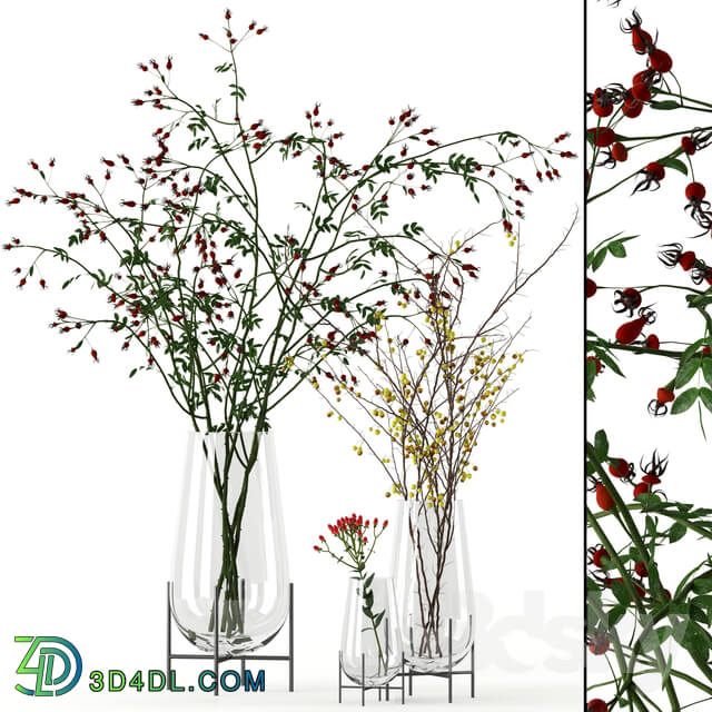 Twigs in Echasse Vases