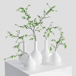 Branches in vases 