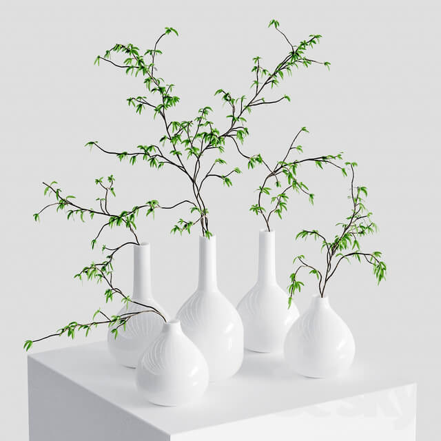 Branches in vases