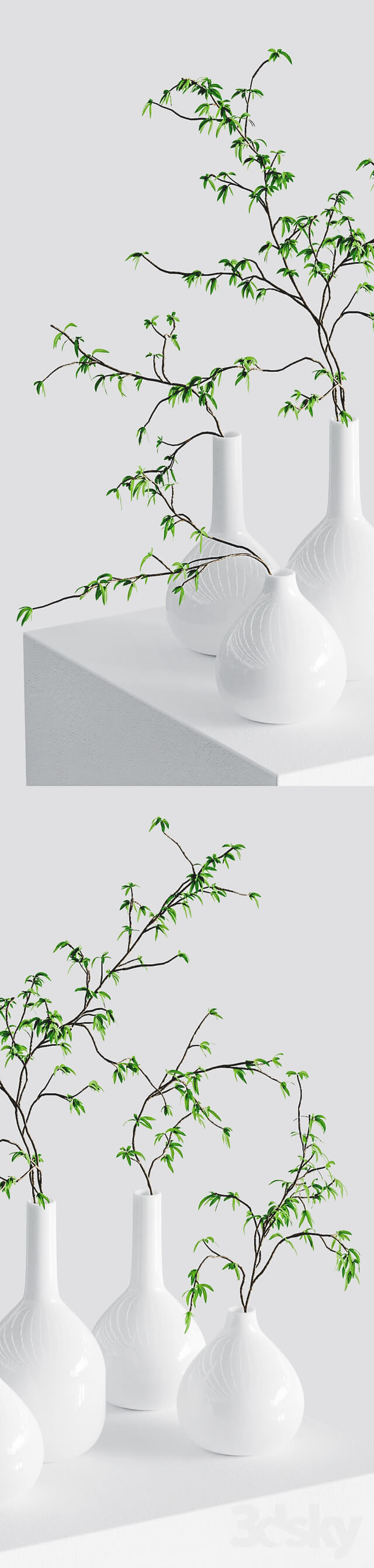 Branches in vases