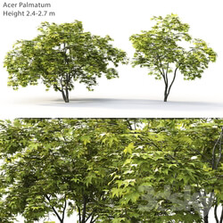 Acer 3D Models 