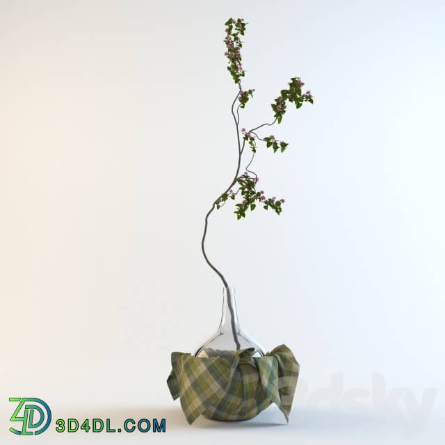 Blossoming a branch in the big bottle 3D Models