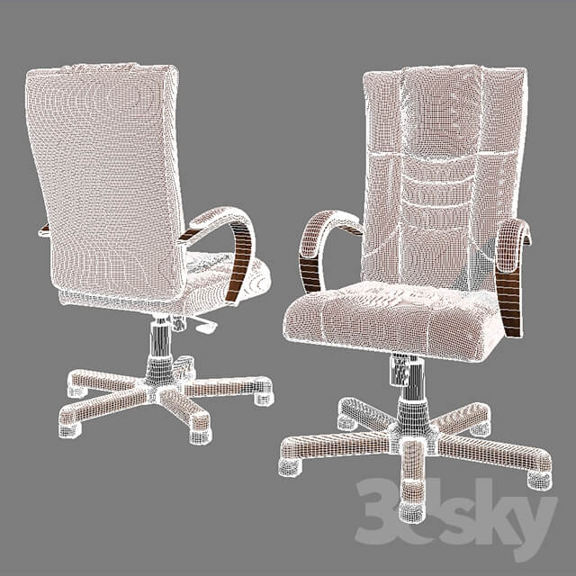 Chair of the head Senator 
