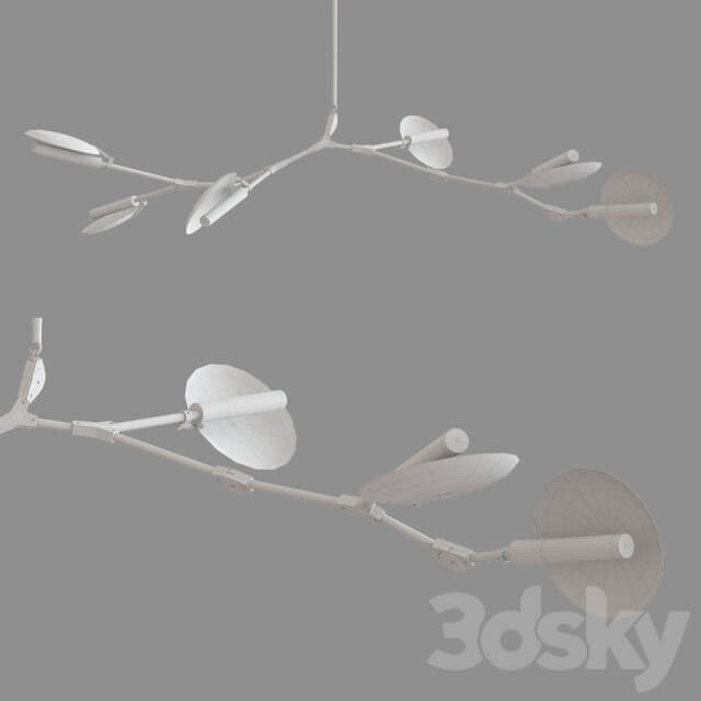 Branching Disc Pendant light 3D Models