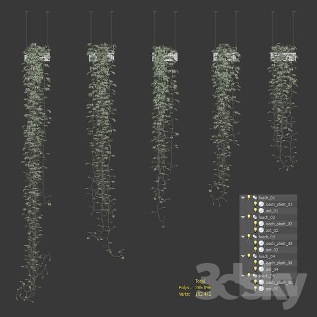 Viun in hanging pots. 5 models