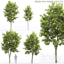 Acer 3D Models 