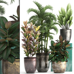 Plant collection 353 3D Models 