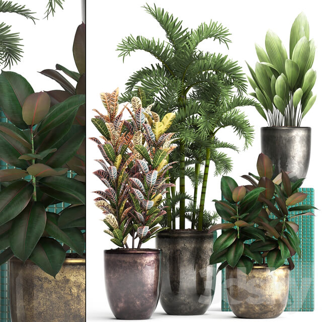 Plant collection 353 3D Models