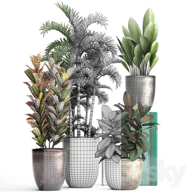 Plant collection 353 3D Models