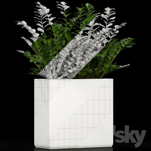 Plants collection 186