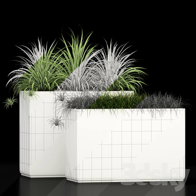 Plants collection 186