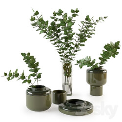 Decorative set with plants 