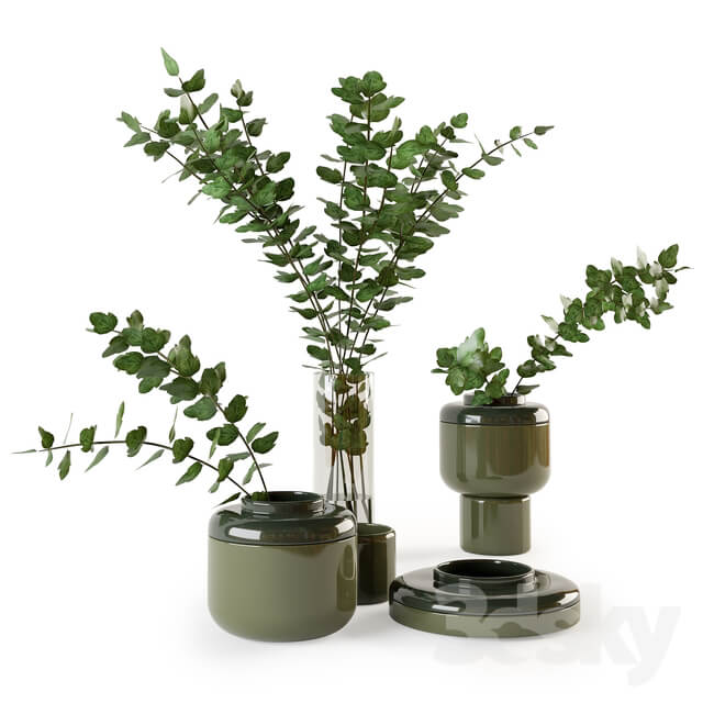 Decorative set with plants