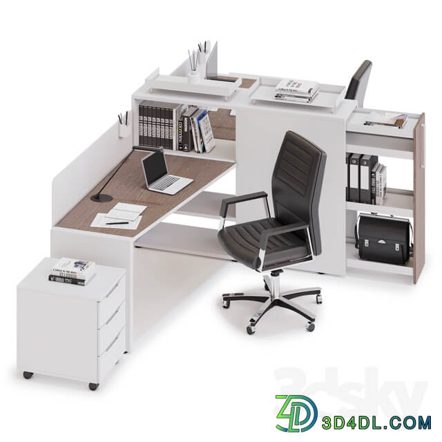 Office workspace LAS LOGIC v12 