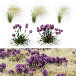 Landscape Set Vol 1 