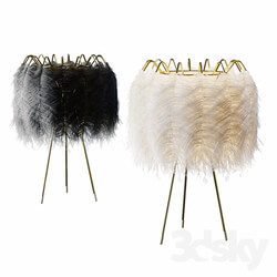 Plumage 55 