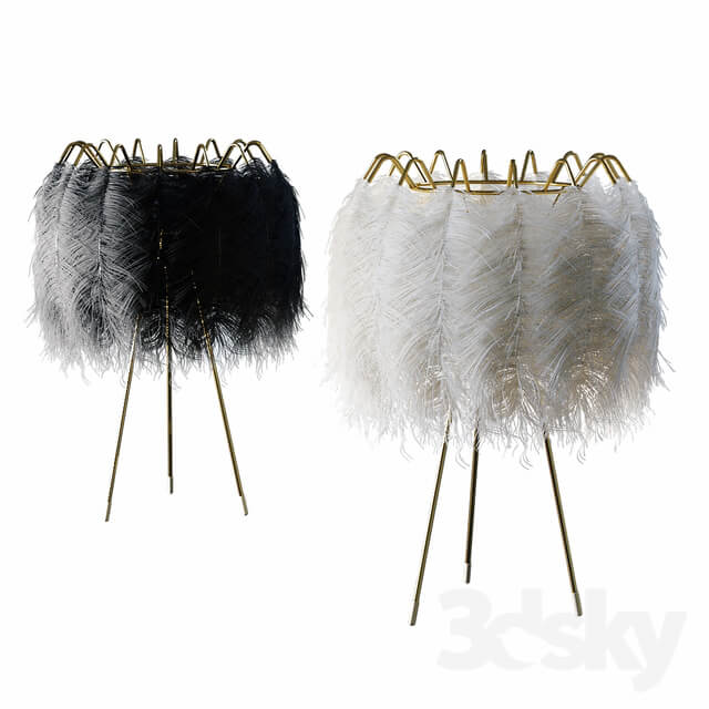 Plumage 55