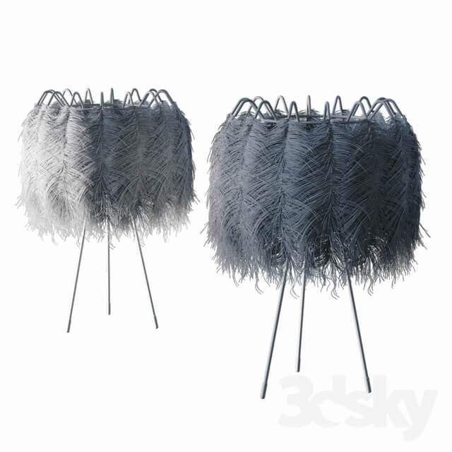Plumage 55