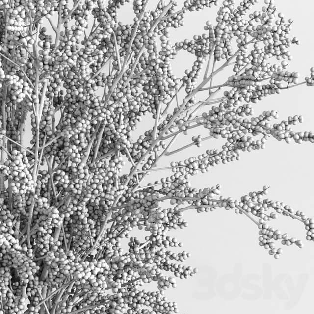 Winterberry Set 1