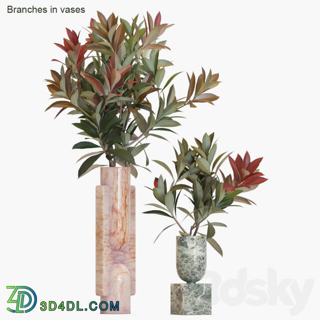 Branches in vases 17