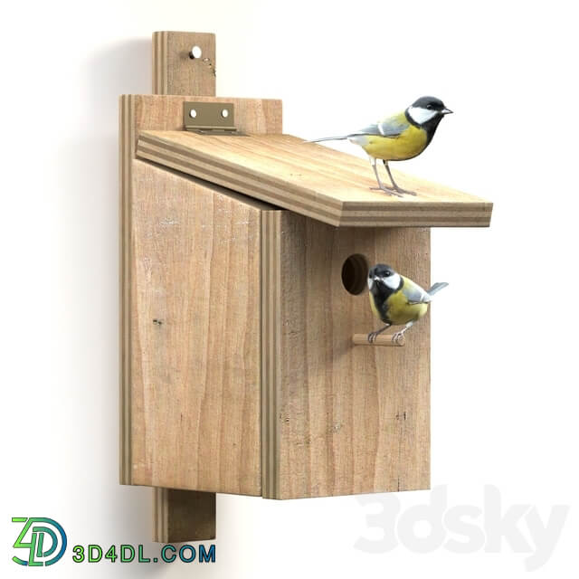 Great Tits at artificial nest Other 3D Models