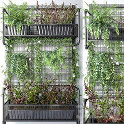 Fitowall JC Wall Grid Plant Pot 5 